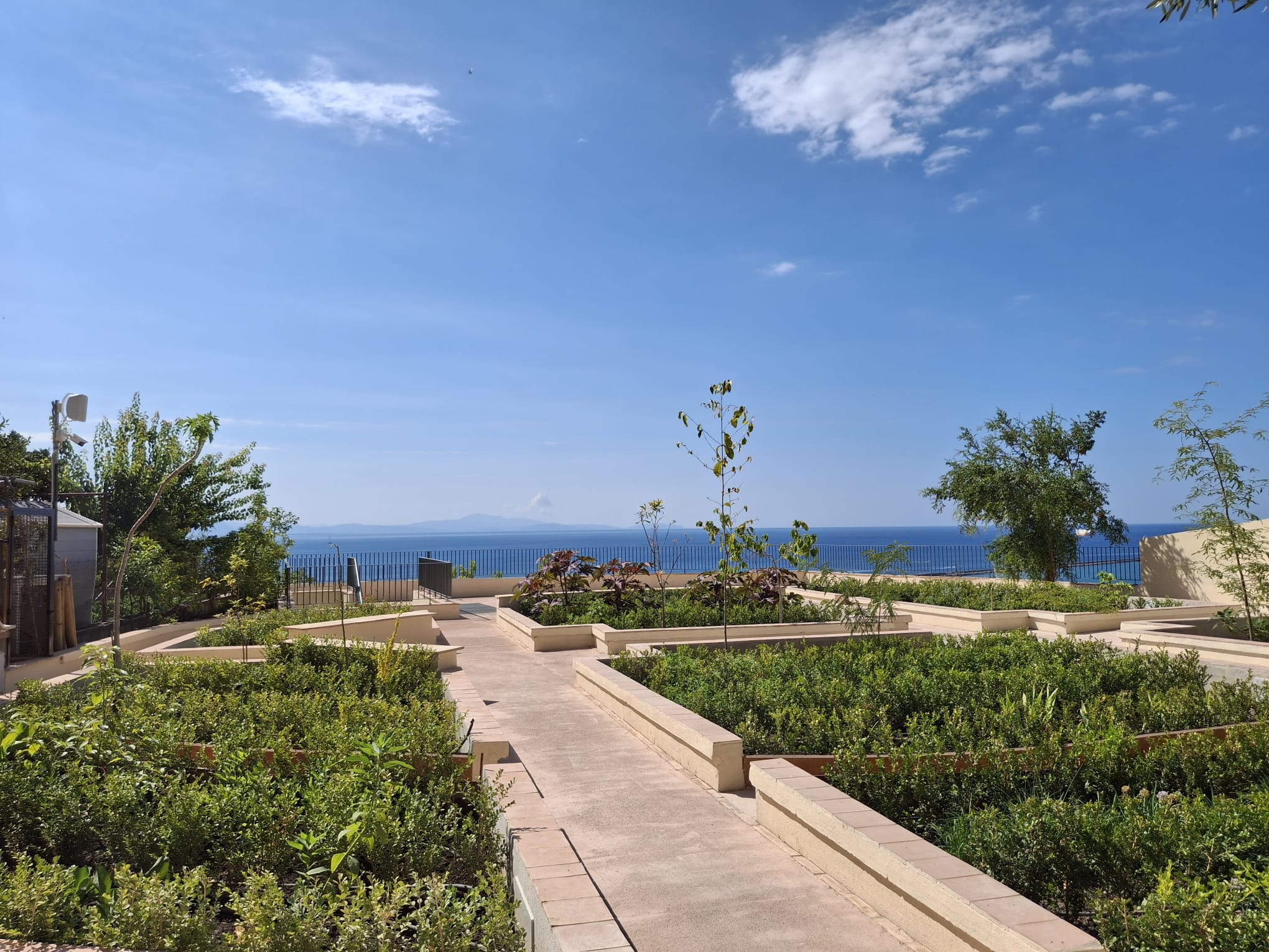   Giardino della Minerva
