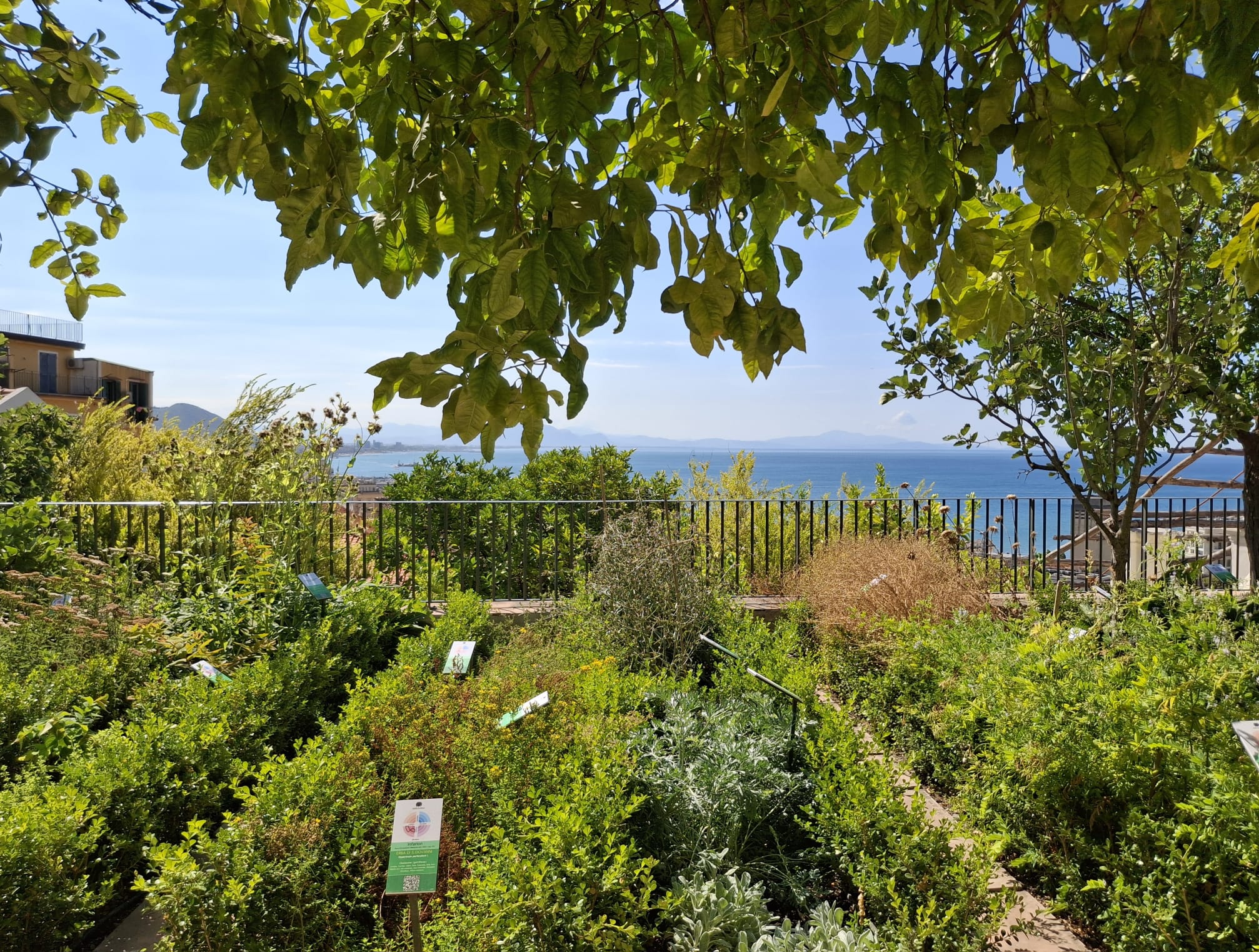   Giardino della Minerva
