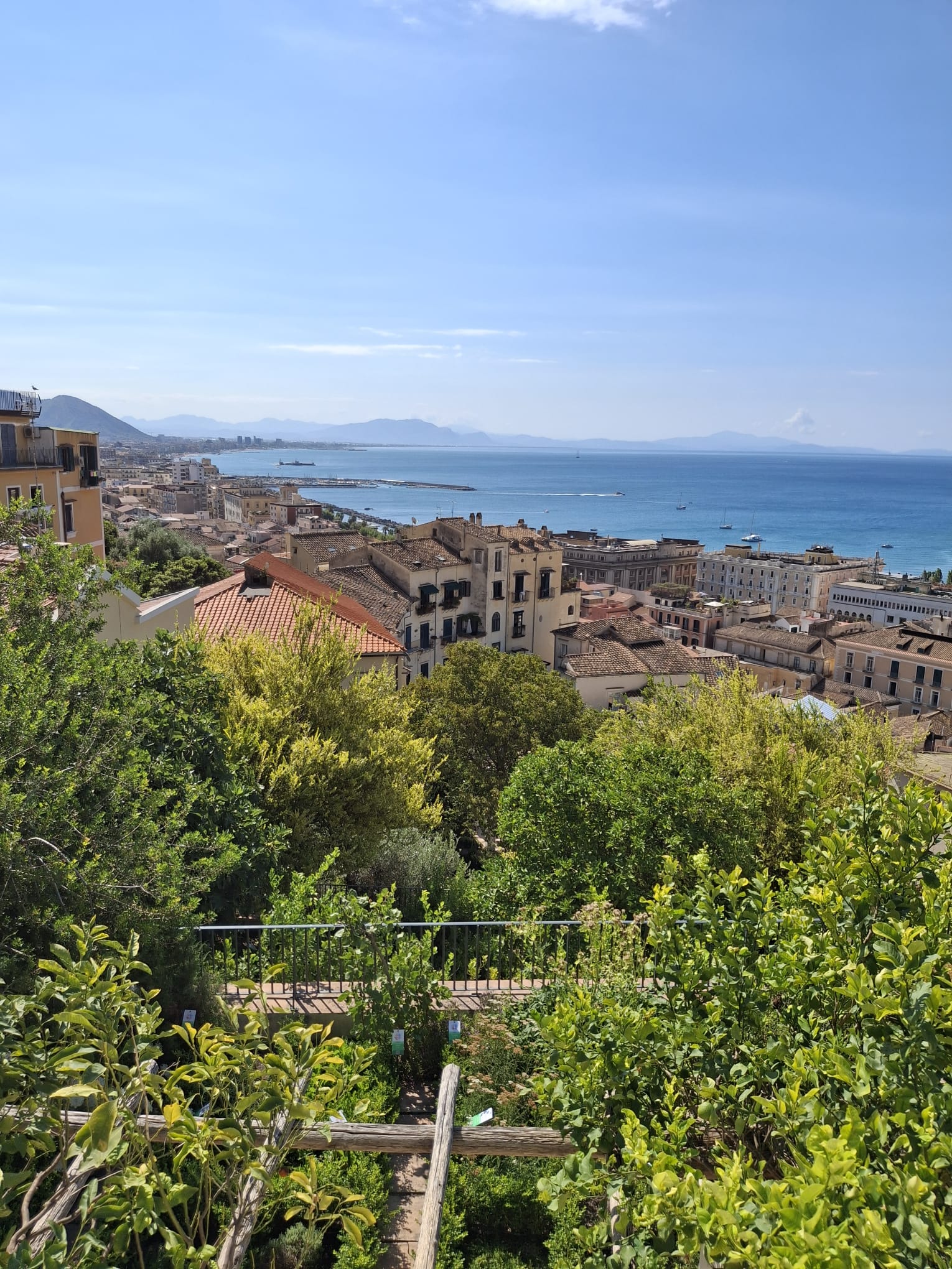  Giardino della Minerva
